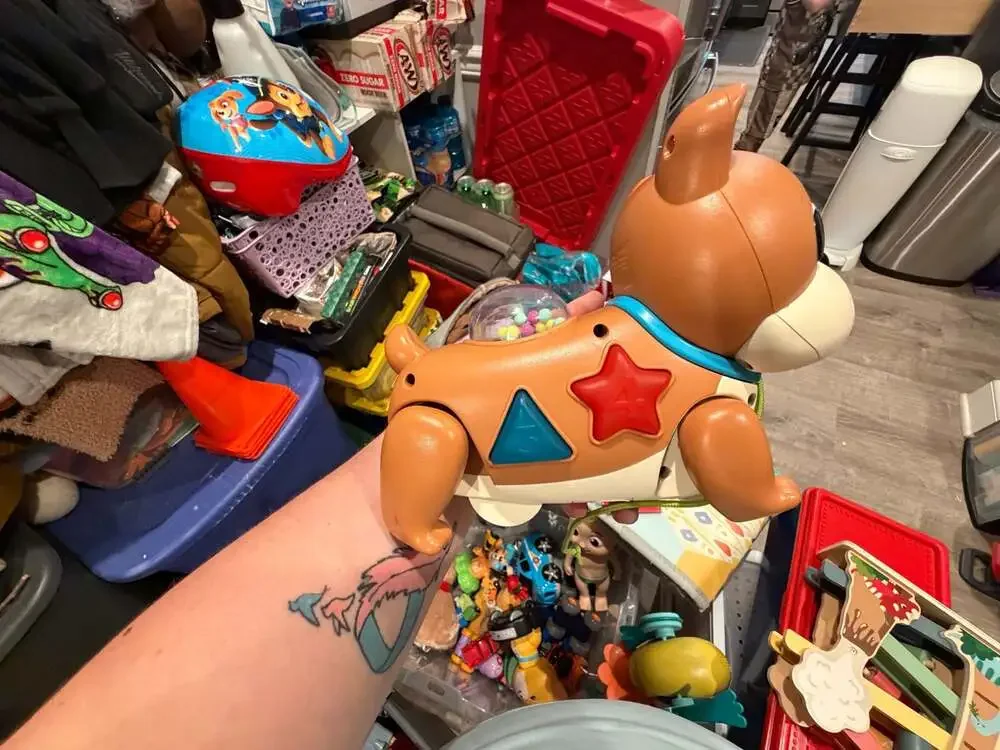 B. toys Interactive Pull-Along Puppy Shape Sorter Toy